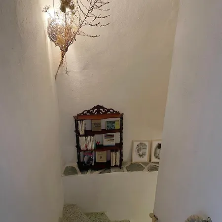 Semesterbostad Casa Padume - Maison De Village En Balagne