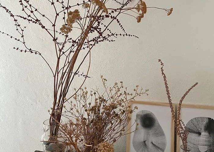 בית נופש Casa Padume - Maison De Village En Balagne